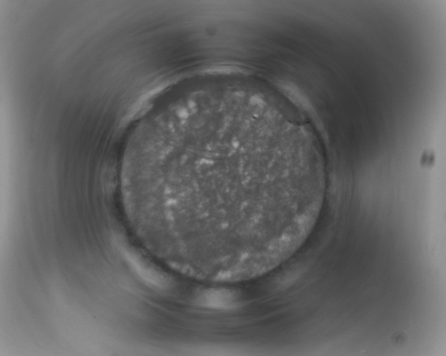 X0000113070063200909182035