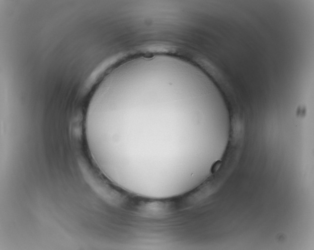 X0000113070064200909182035