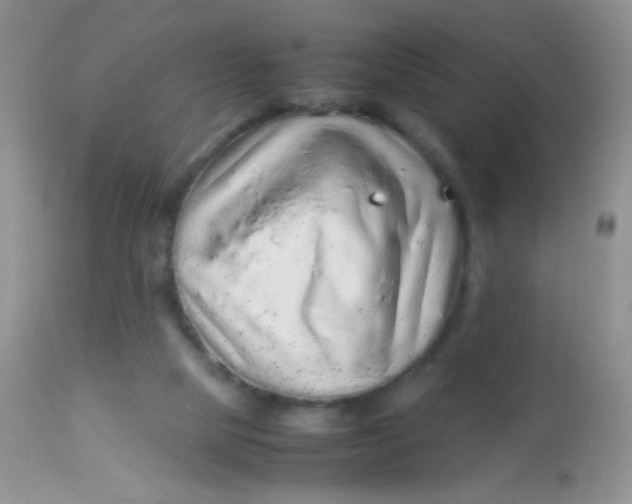 X0000113070065200909182035