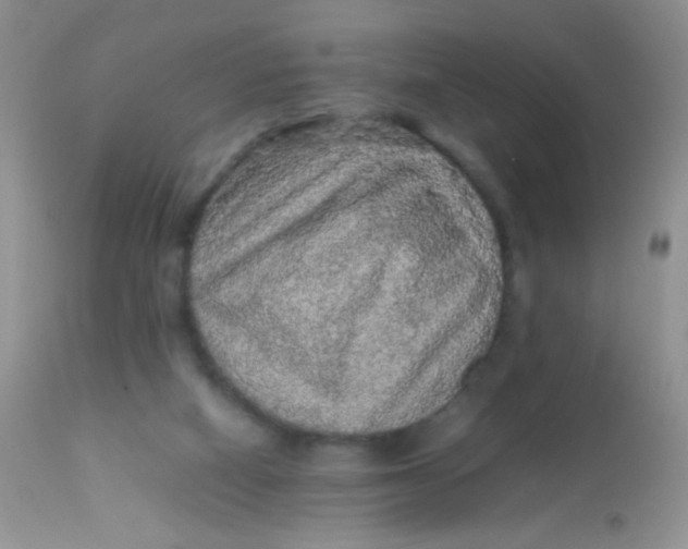 X0000113070066200909182035