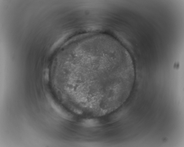 X0000113070067200909182035