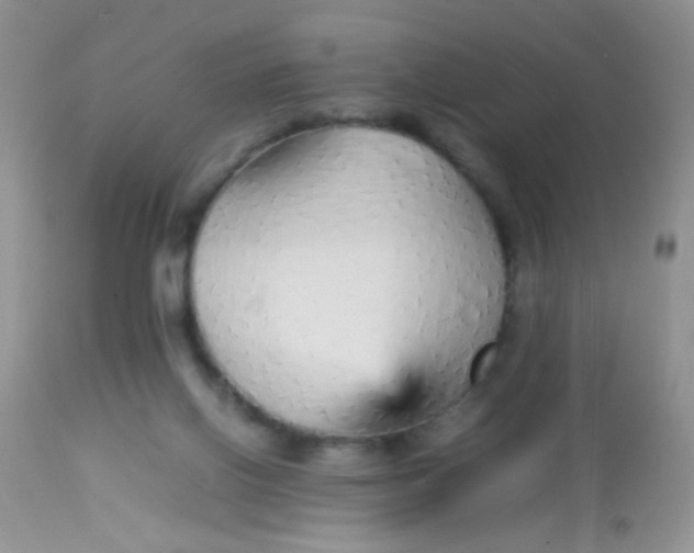 X0000113070070200909182035