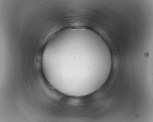X0000113070071200909182035