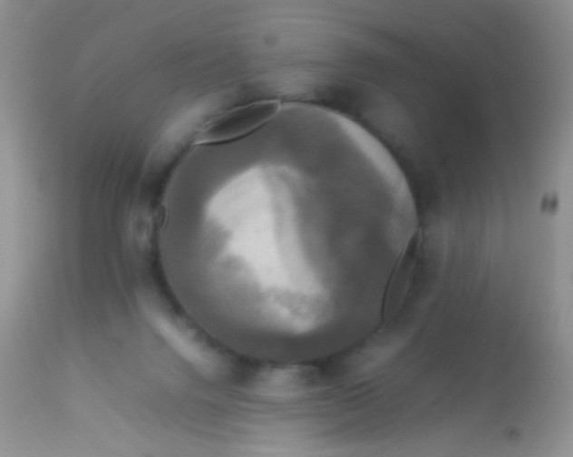 X0000113070072200909182035