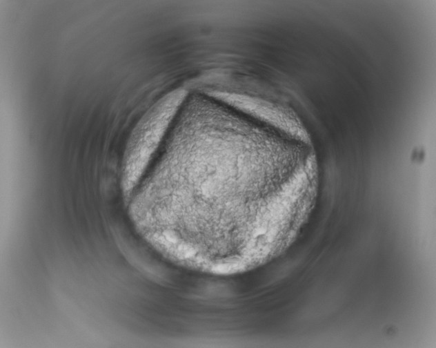 X0000113070073200909182035