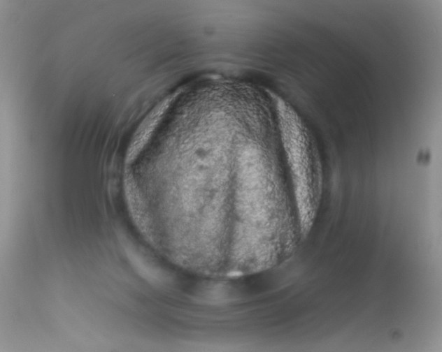 X0000113070074200909182035