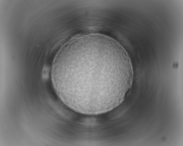 X0000113070075200909182035