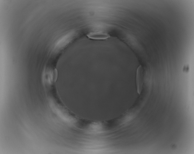 X0000113070076200909182035