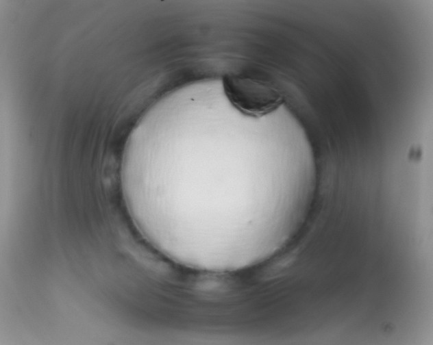 X0000113070077200909182035