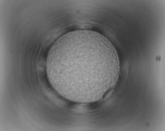 X0000113070078200909182035