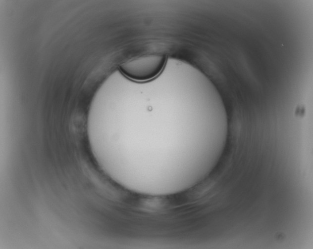 X0000113070079200909182035