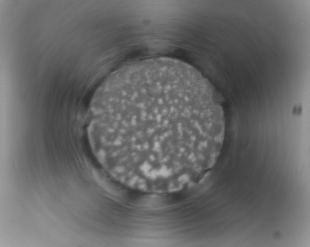 X0000113070082200909182035