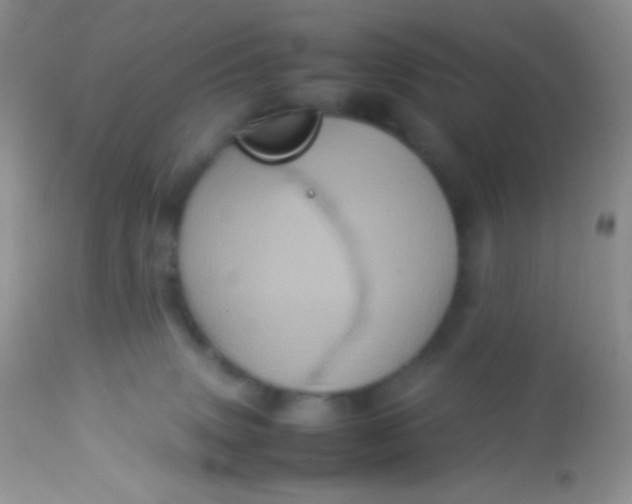 X0000113070083200909182035