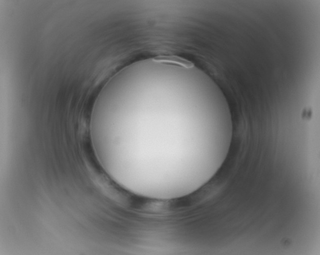 X0000113070084200909182035