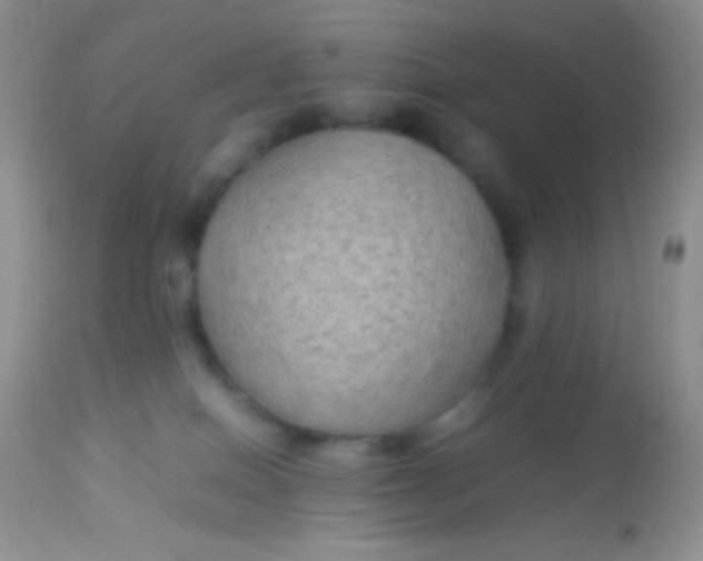 X0000113070086200909182035