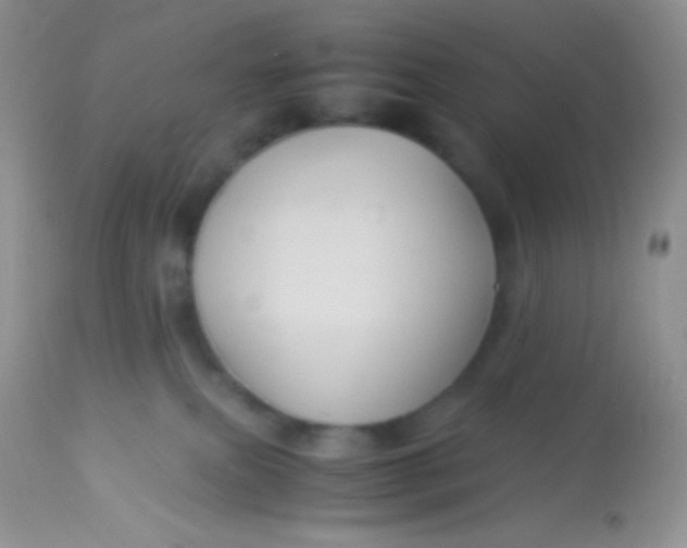 X0000113070087200909182035