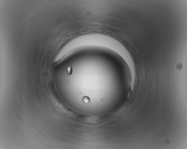 X0000113070088200909182035