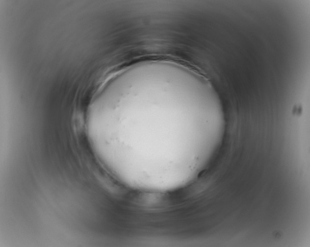X0000113070089200909182035