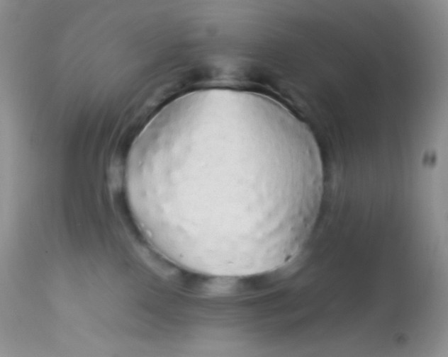 X0000113070090200909182035