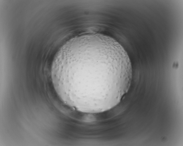 X0000113070091200909182035