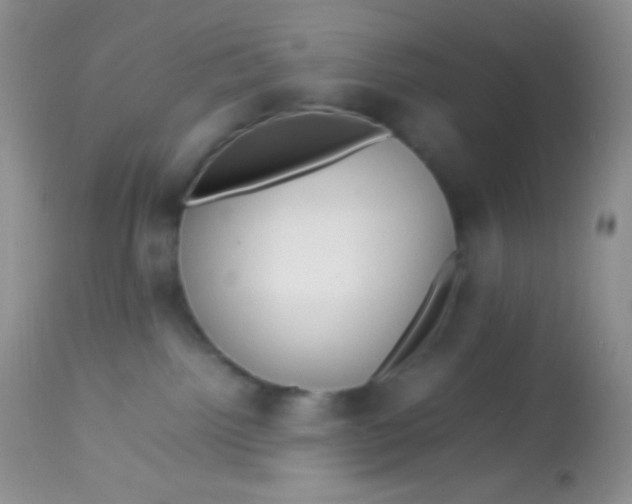 X0000113070092200909182035