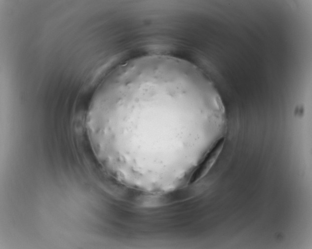 X0000113070093200909182035