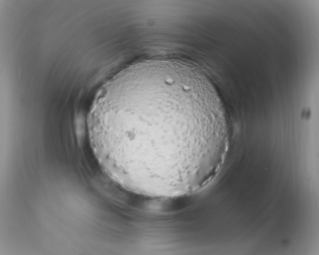 X0000113070094200909182035