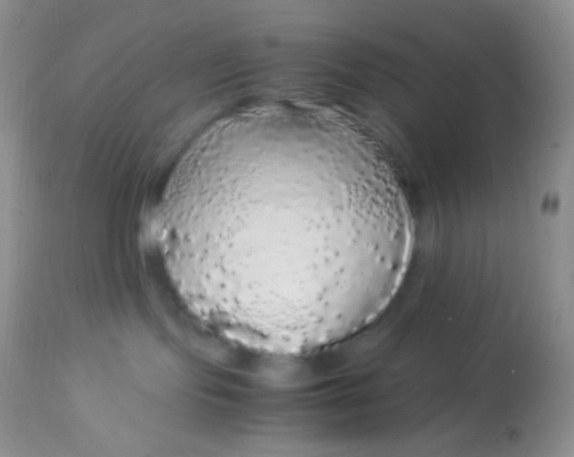 X0000113070095200909182035