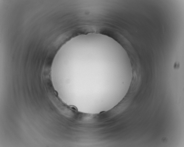 X0000113070096200909182035