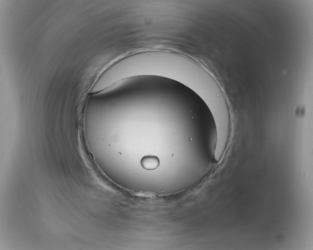 X0000113070097200909182034