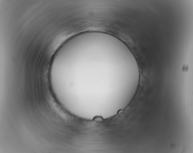 X0000113070098200909182034