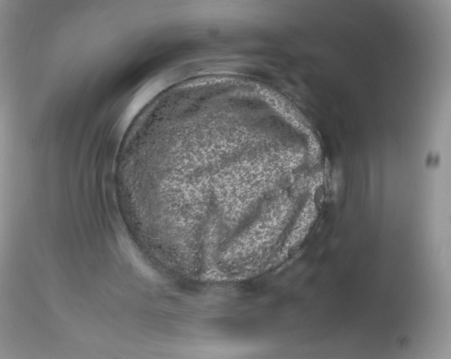 X0000113070099200909182034