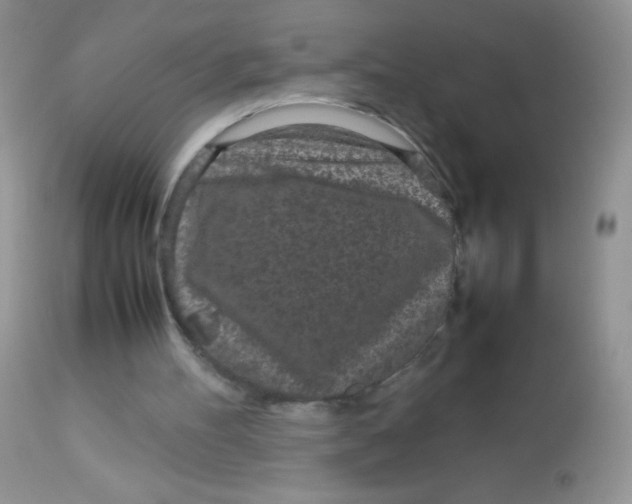 X0000113070100200909182034