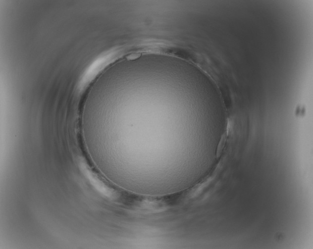 X0000113070101200909182034