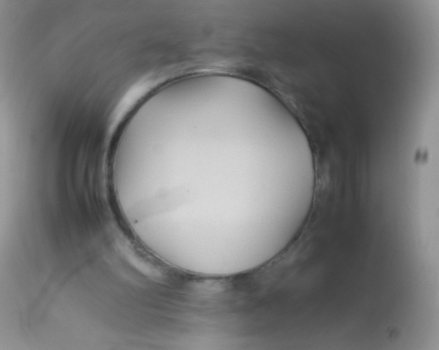 X0000113070102200909182034