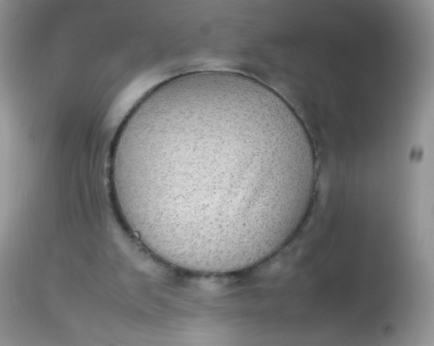 X0000113070103200909182034