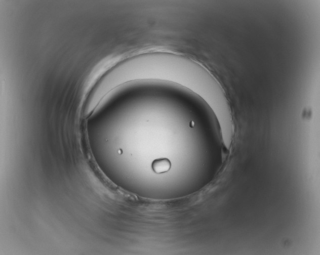 X0000113070104200909182034