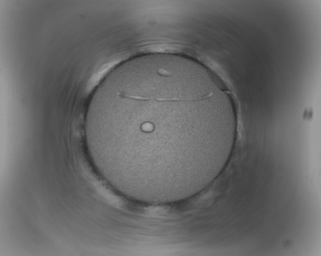 X0000113070105200909182034