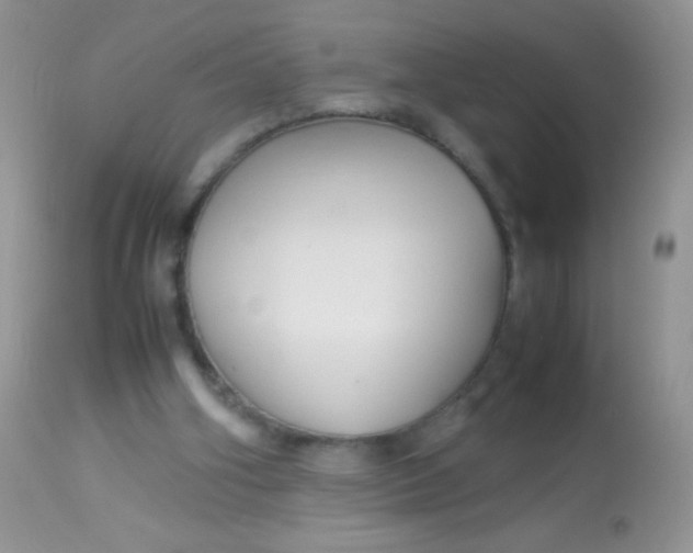 X0000113070106200909182034