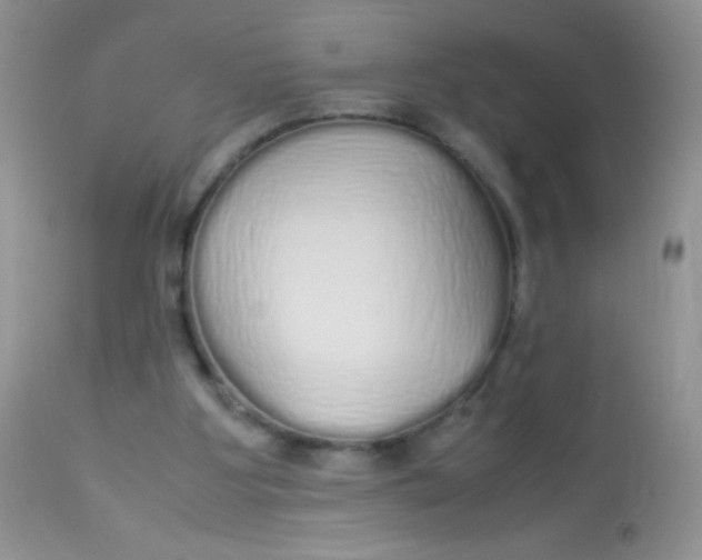 X0000113070107200909182034