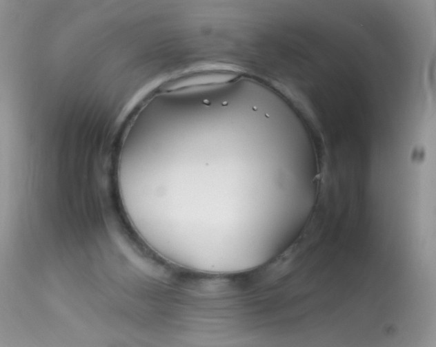 X0000113070108200909182034