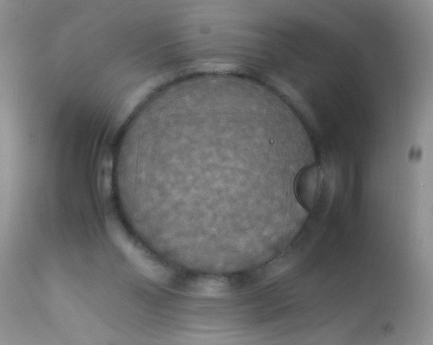 X0000113070110200909182034