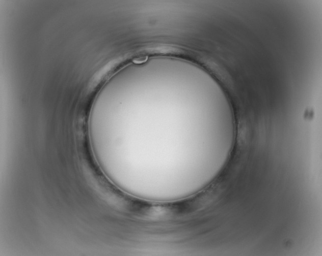 X0000113070111200909182034