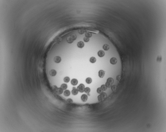 X0000113070112200909182034