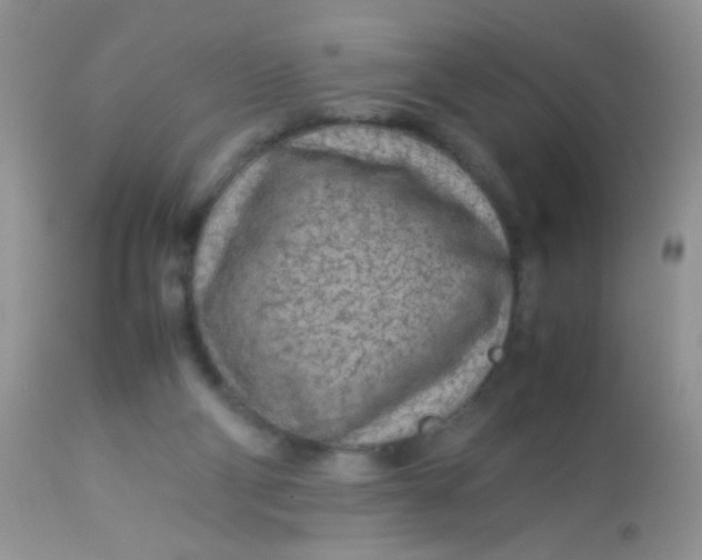 X0000113070114200909182034