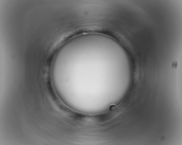 X0000113070115200909182034