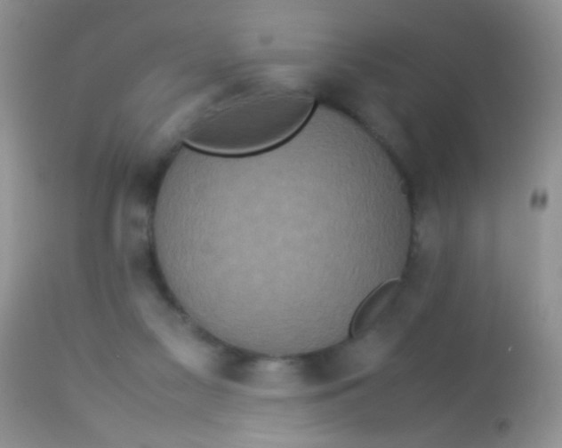 X0000113070117200909182034