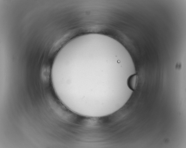 X0000113070118200909182034