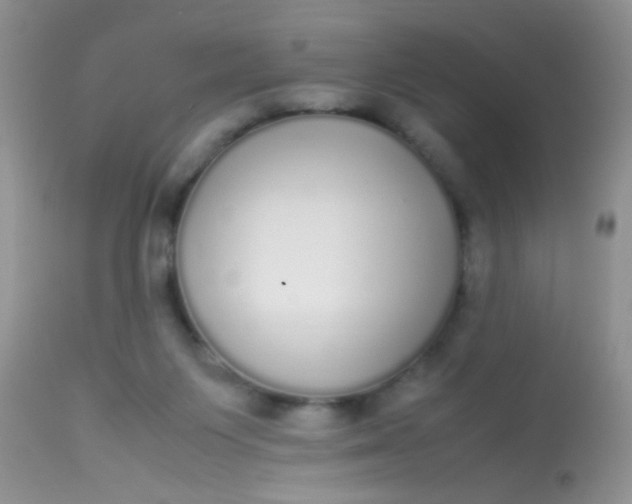 X0000113070119200909182034