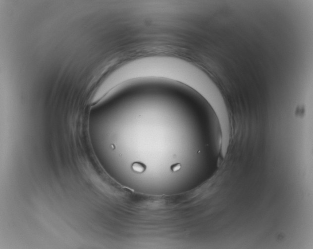 X0000113070120200909182034